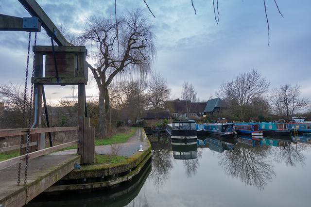 Harlow by Kent Wang (Flickr)