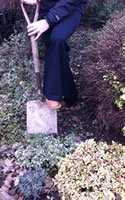 Look after your back when digging the garden
